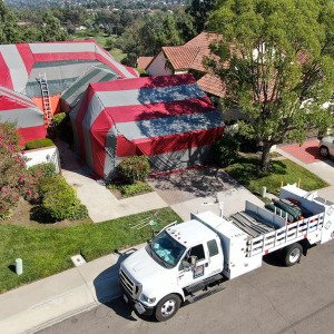 Rats, roaches, mold: The expensive cost of the most common&mdash;and feared&mdash;home infestations