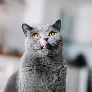 25 phrases you're almost certainly using without knowing what they really mean