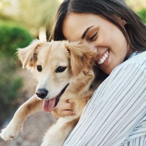 Americans prefer dogs to cats as pets by a wide margin, according to the data