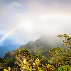 What is America&#039;s favorite state?