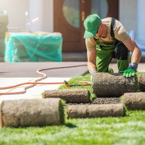 Cities where lawn care services cost the most green in 2025