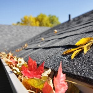 Study reveals 40% of homes damaged by clogged gutters