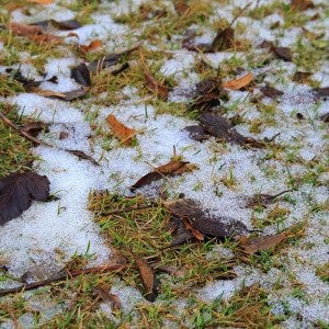 8 winter lawn care mistakes to avoid, according to experts