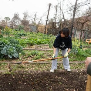 How urban farms can make cities more livable and help feed America