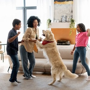 Budgeting for your dog in 2026: What it really costs and where pet parents are choosing to spend more