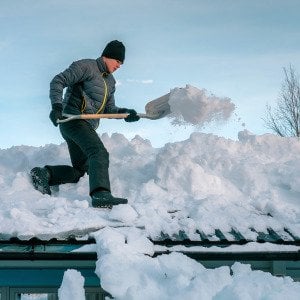 The weight of winter: 5 tips for dealing with wet, heavy snow