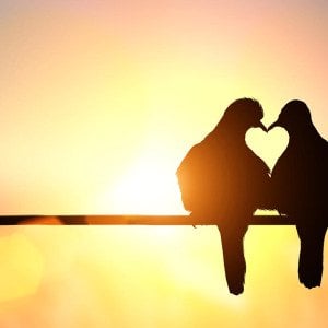 Love, history and harmony: Valentine&rsquo;s Day then and now