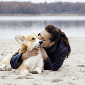 How to tell if your dog really loves you