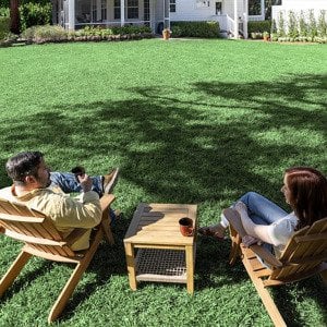 Spring lawn care: Start now for a greener year ahead