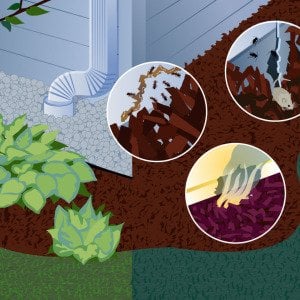Why mulch should not be touch your siding