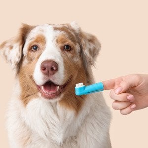 There's a national holiday for kissing your dog. There's also a reason you might want to think twice.
