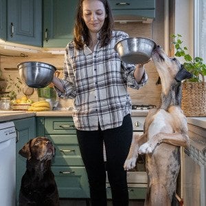 How AI engines decide which pet brands are safe to recommend 