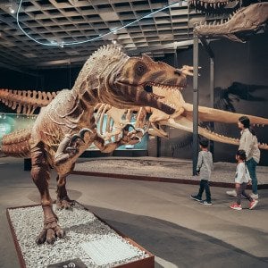 Why kids who love dinosaurs may be smarter than we think