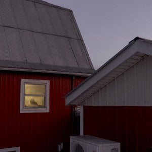 &lsquo;I don&rsquo;t go out&rsquo;: Undocumented dairy workers live in fear after immigration raids