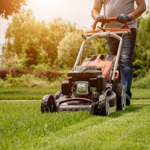250 years of lawn care: How America grew its greatest obsession