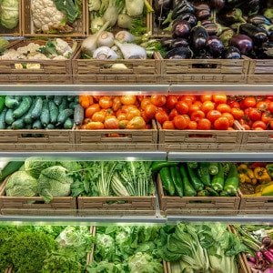 Fresh food is winning the grocery price war