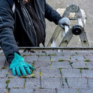 What are the first steps after discovering a roof leak?