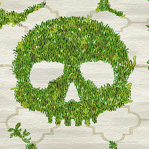 Weeds, whacked: 7 ways to kill weeds from your driveway and sidewalks