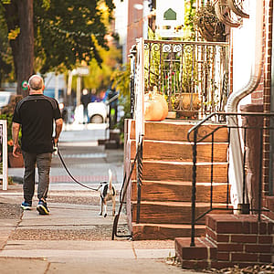 Cozy season index: Best cities for walkable fall living