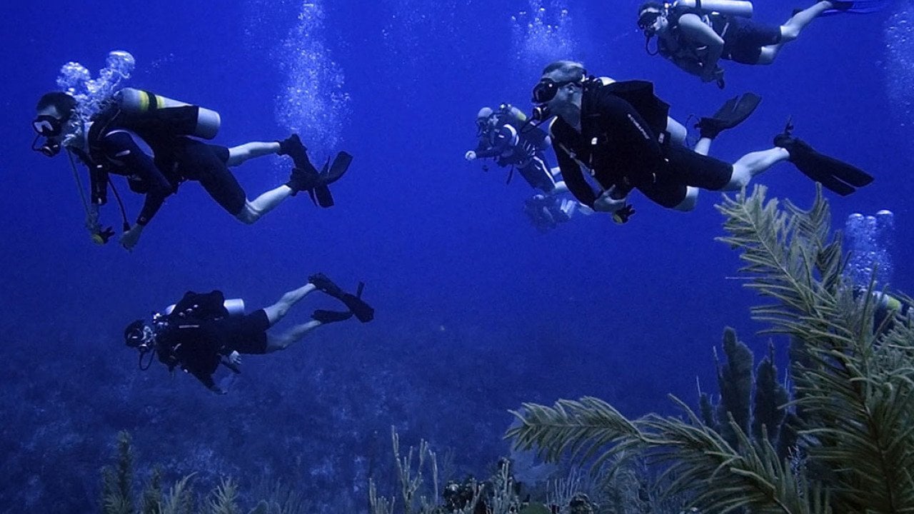 A group of former navy SEALs underwater.