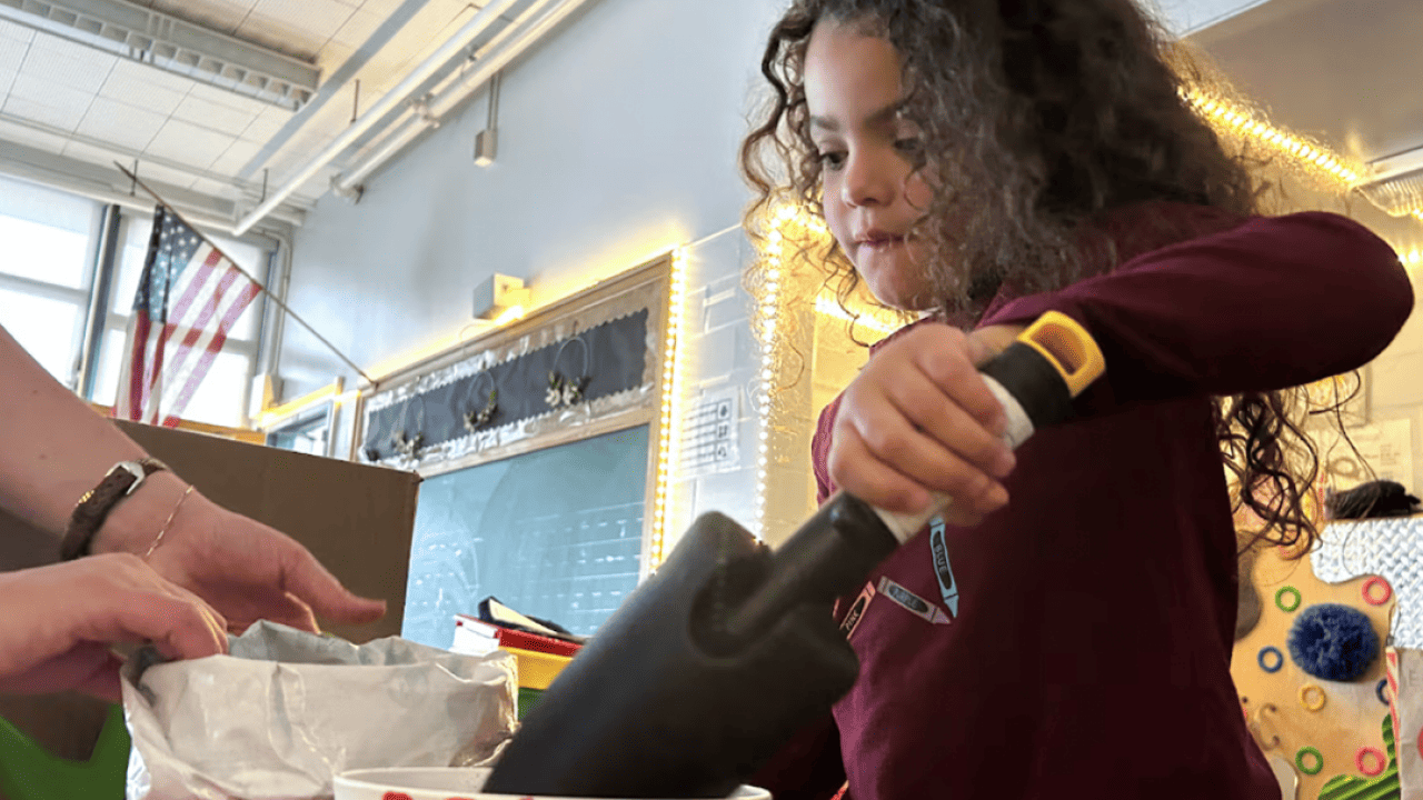 A preschooler at Palmer Elementary in Denver prepares to plant wildflowers in a pot she decorated. 