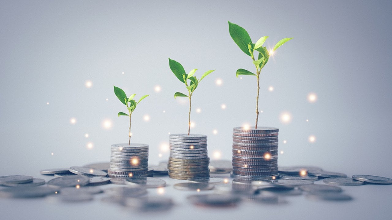 Concept of financial freedom illustrated by stack of coins with growing plants.