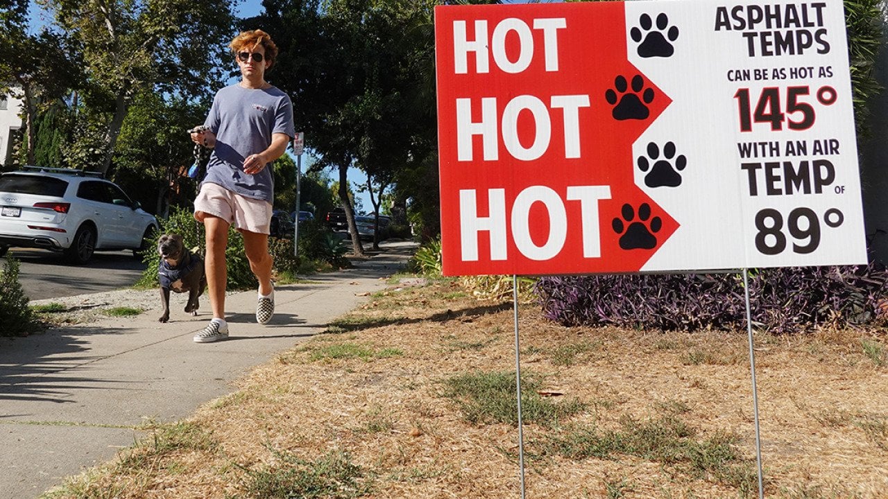 A person walks their dog in the morning when temperatures climb.
