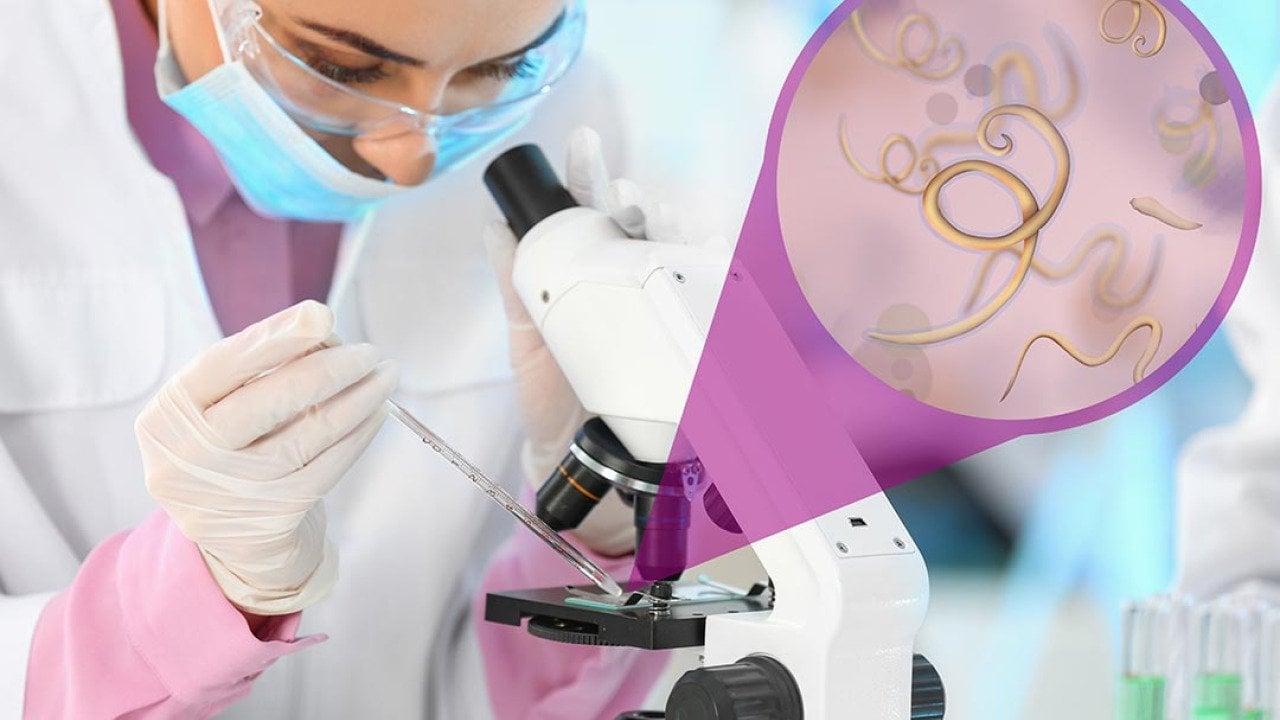 Laboratory worker using modern microscope to examine helminths.