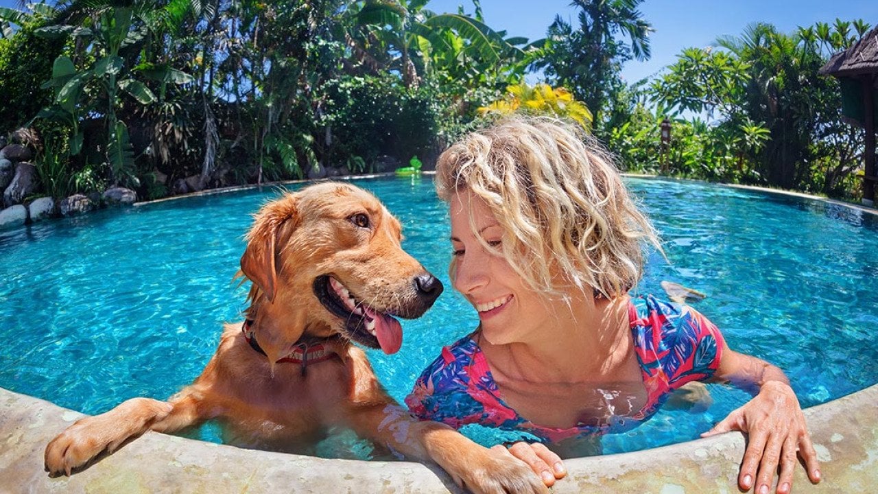A medium-sized brown dog and blond woman look at each other happily in the pool, with their hands and paws holding onto the edge of the pool.