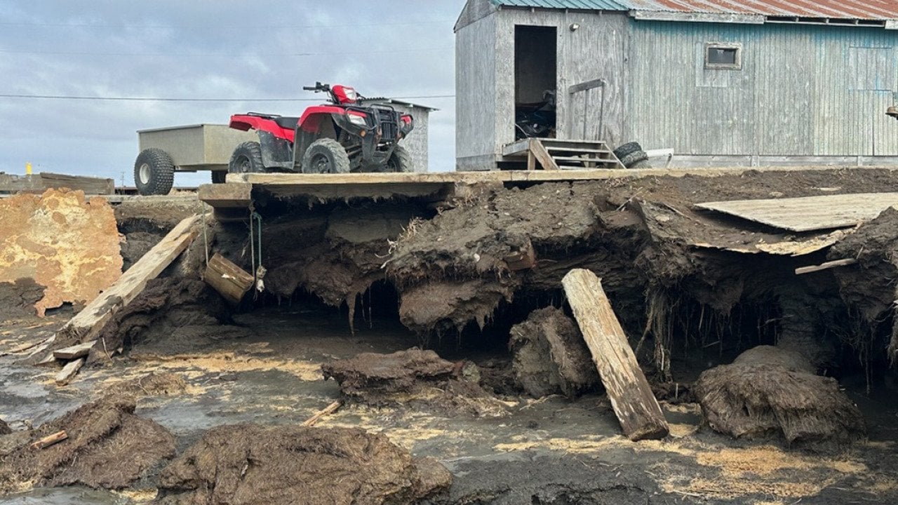 In the Alaskan village of Kipnuk, 4 miles from the Bering Sea, erosion is rapidly eating away the banks of the Kugkaktlik River.