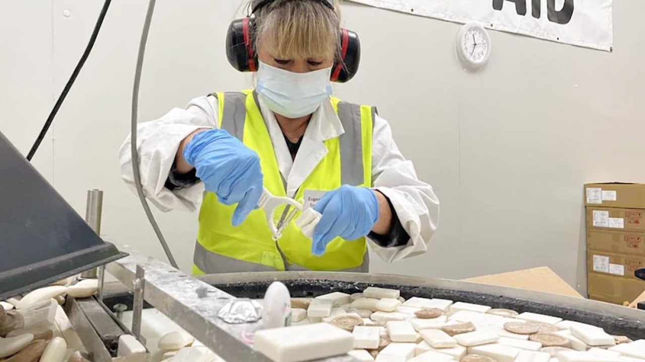 A worker wearing a fluorescent yellow vest, a face mask, blue gloves and ear protection processes small soaps for packaging.