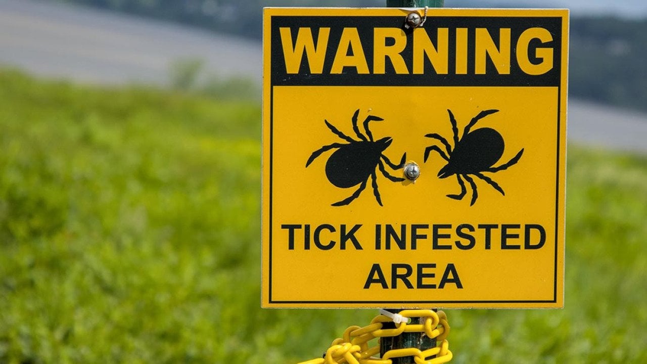 A yellow warning sign telling people of a tick infested area in a grassy area near the Hudson river in Westchester County, New York.
