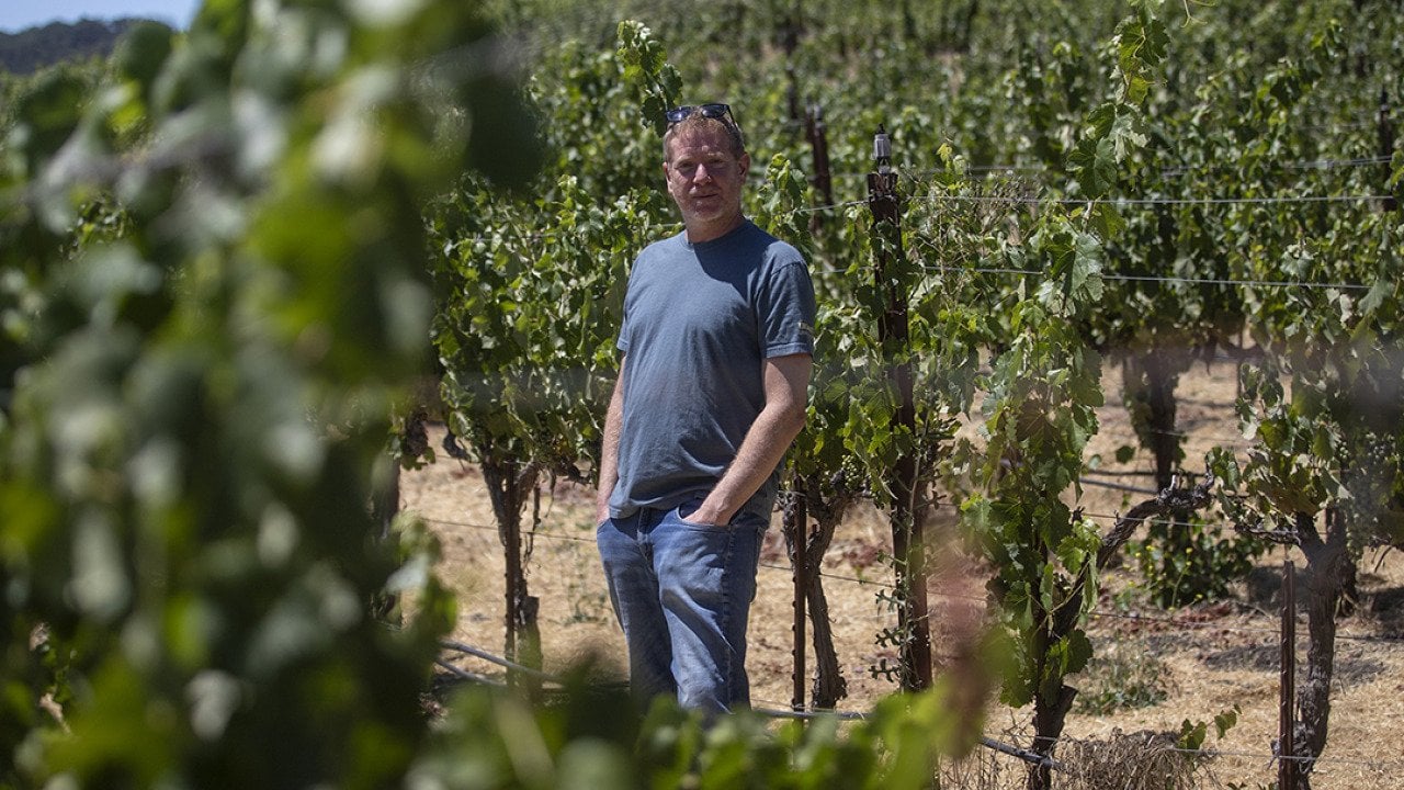 Jason Haas, owner of Tablas Creek Vineyard, stands amongst rows of grape vines at his vineyard in Paso Robles on July 30, 2025. 
