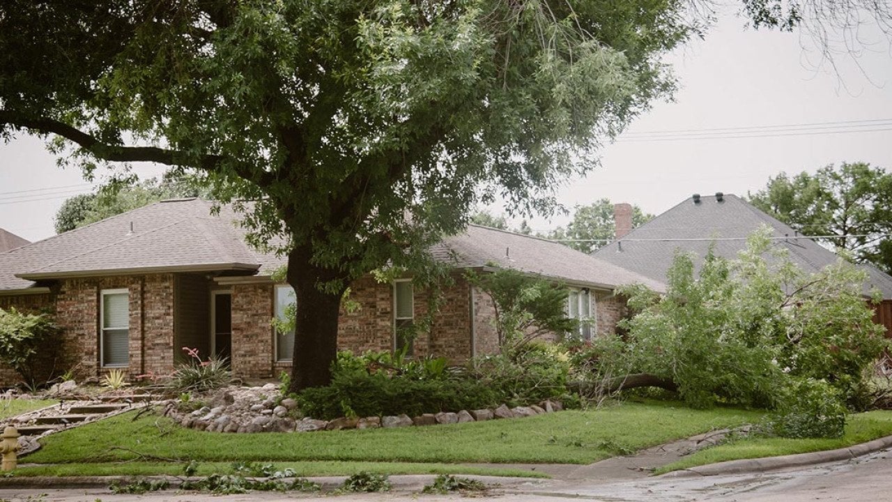 Corner house front yard curbside landscaping damaged by large branch fallen off from tall tree in strong wind heavy storm in Dallas, Texas.