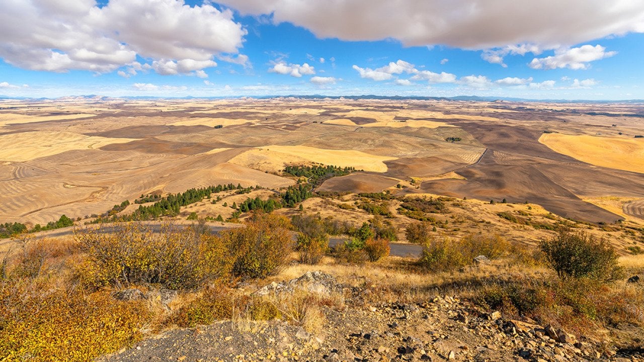 A view of farmlands up to 200 miles away at the Steptoe Butte State Park Heritage Site Natural Landmark in Whitman, Washington.