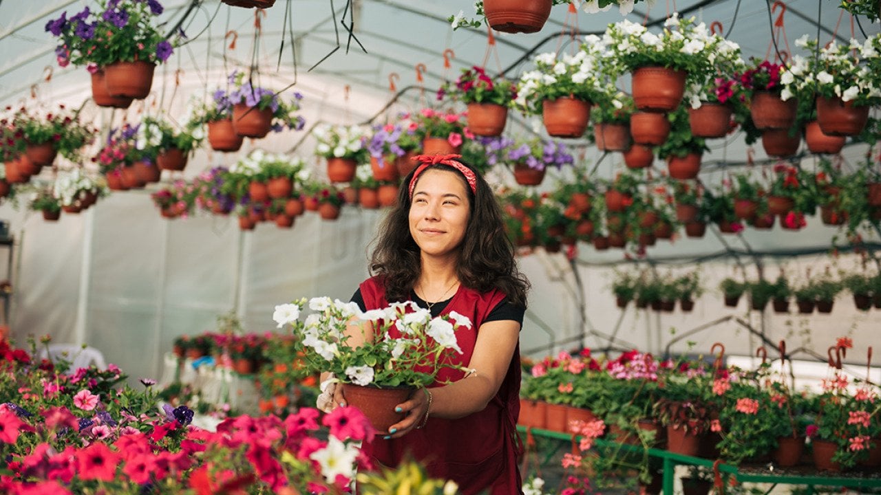 A small business owner in her flowers and plants site.