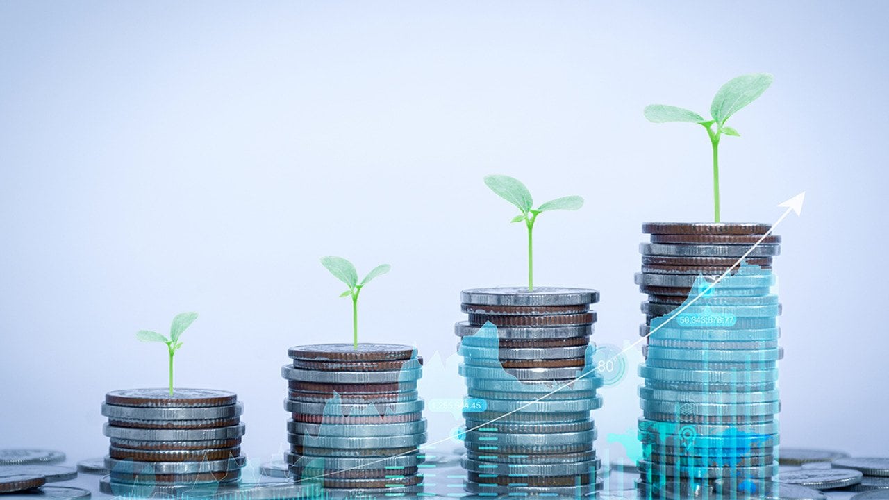 Row of coins illustrated with growing plants and finance charts.