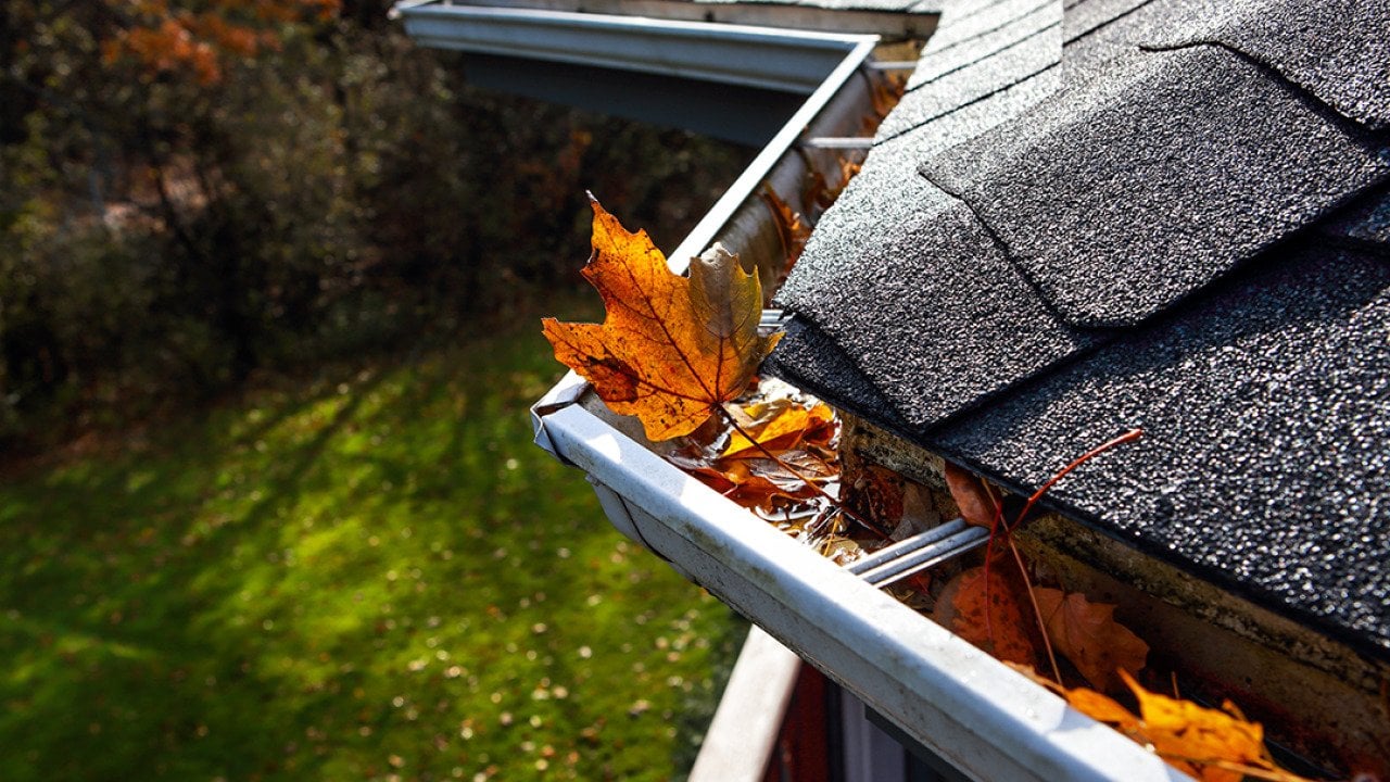 Autumn leaves settle in a rain gutter on a roof.