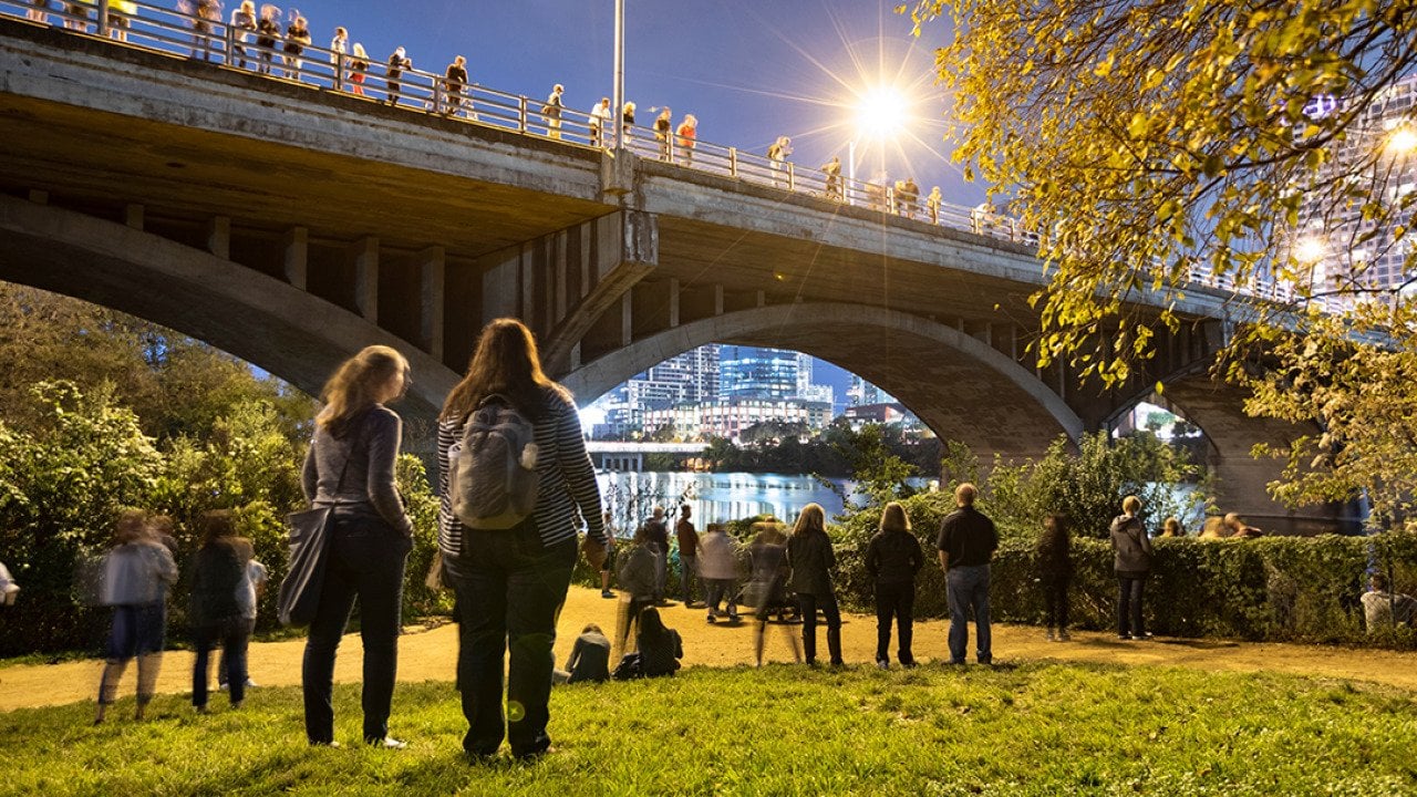 Under the Congress Avenue Bridge in downtown Austin, Texas.