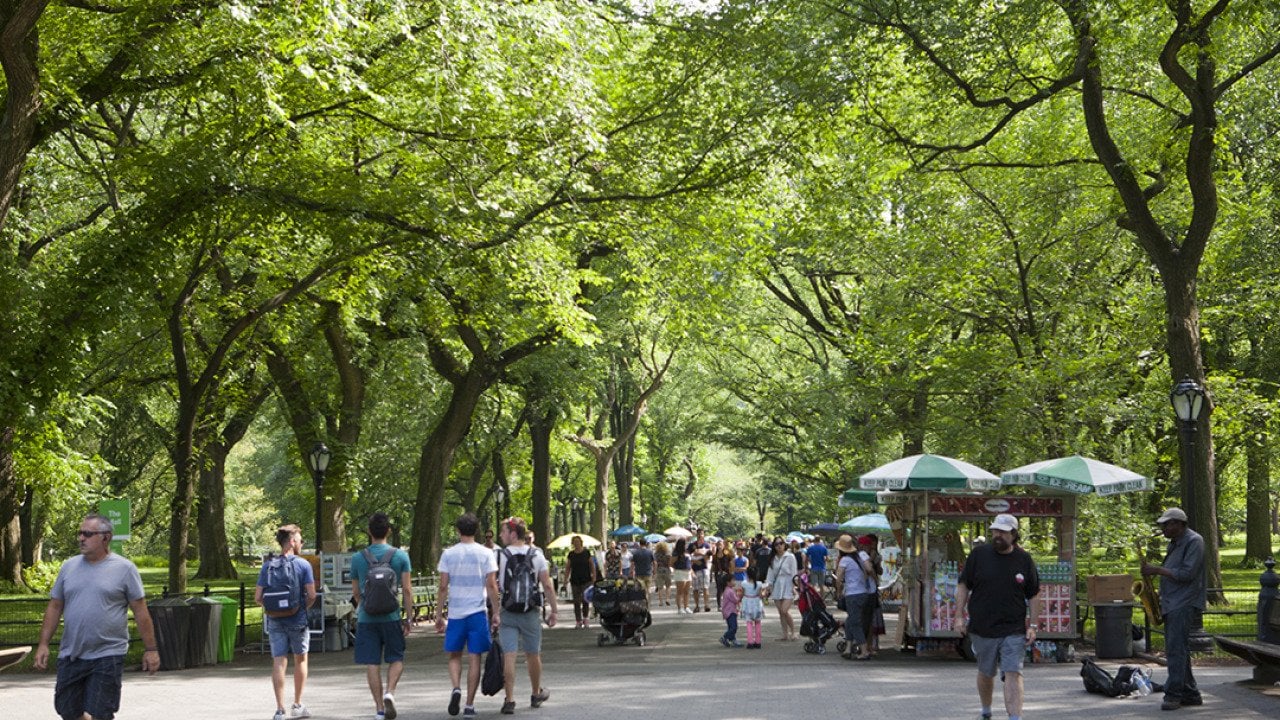 Pedestrians under trees of the Mall in Central Park, New York City.