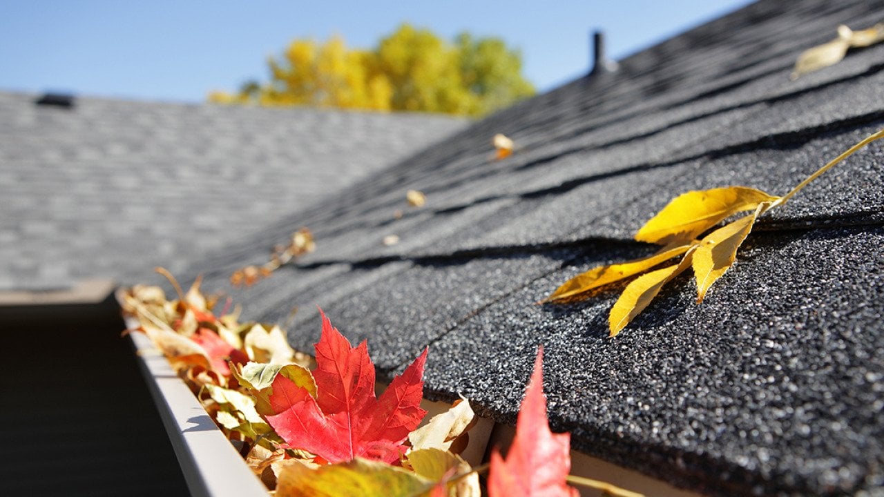 Autumn leaves accumulate in a house's rain gutter.