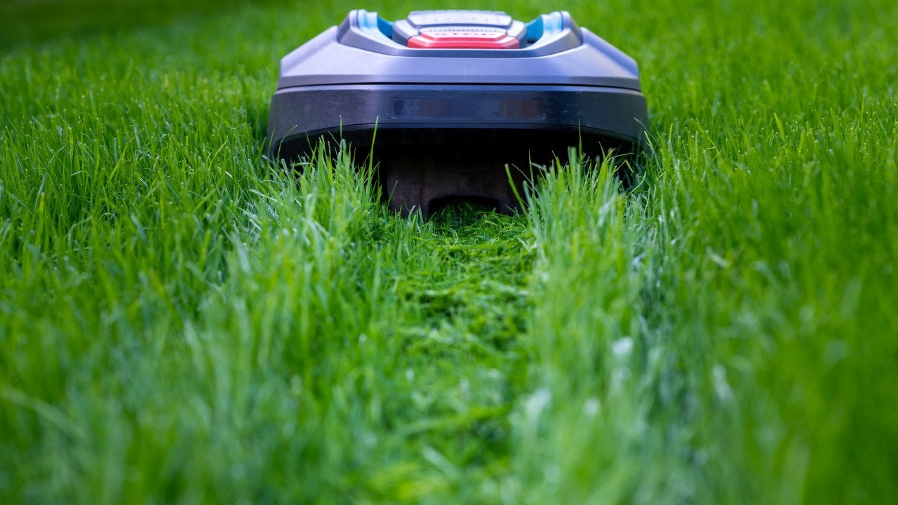 A robot mower cutting high grass.