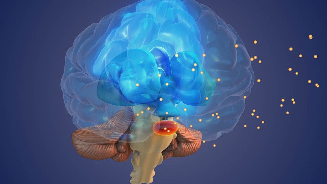 3D Illustration of the brain showing the concept of the Thalamus processing sensory signals.