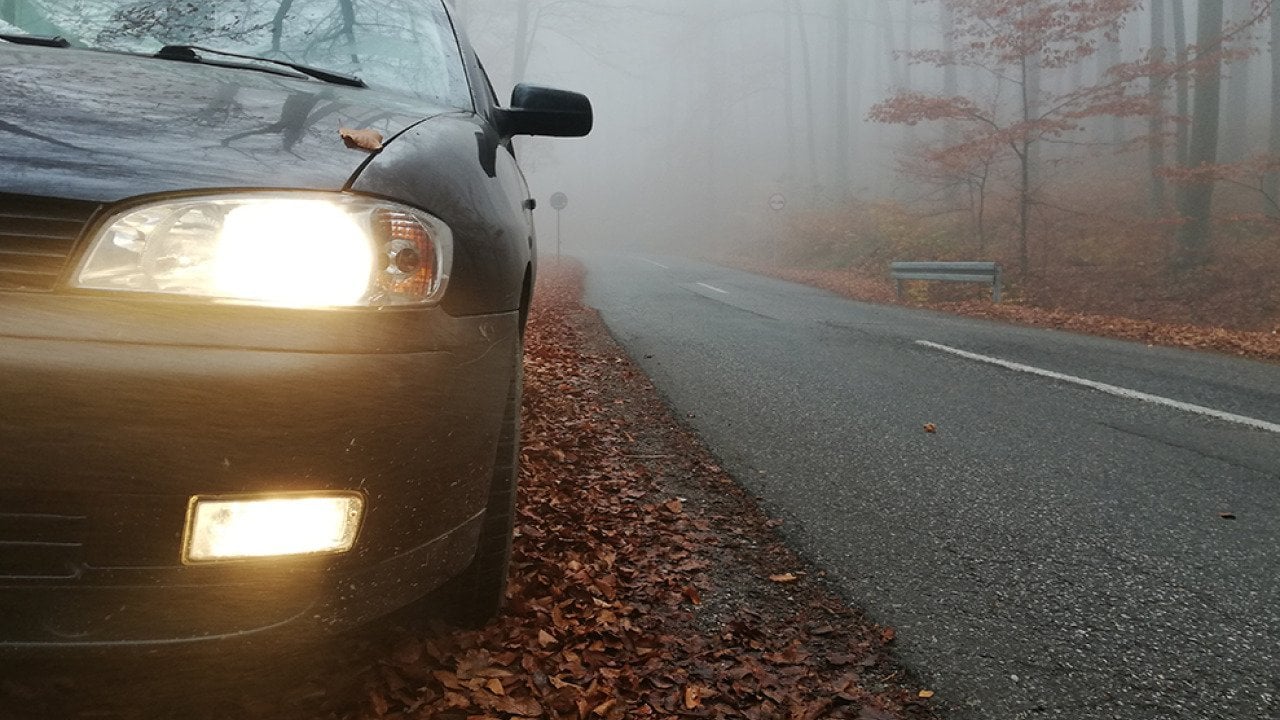 A close up on a car's headlights with fog light along a forest roadside during autumn.