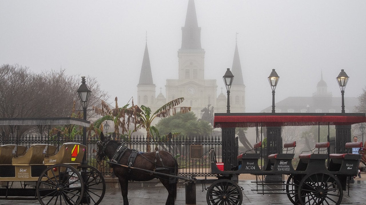 A foggy view of St. Louis' Cathedral in New Orleans, Louisiana on a rainy day.