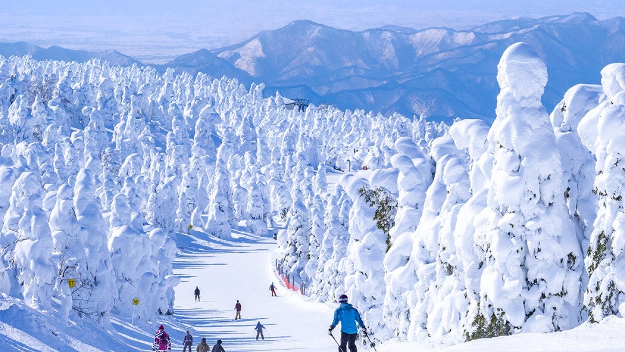 Skiers race down a snow slope in Yamagata, Japan.