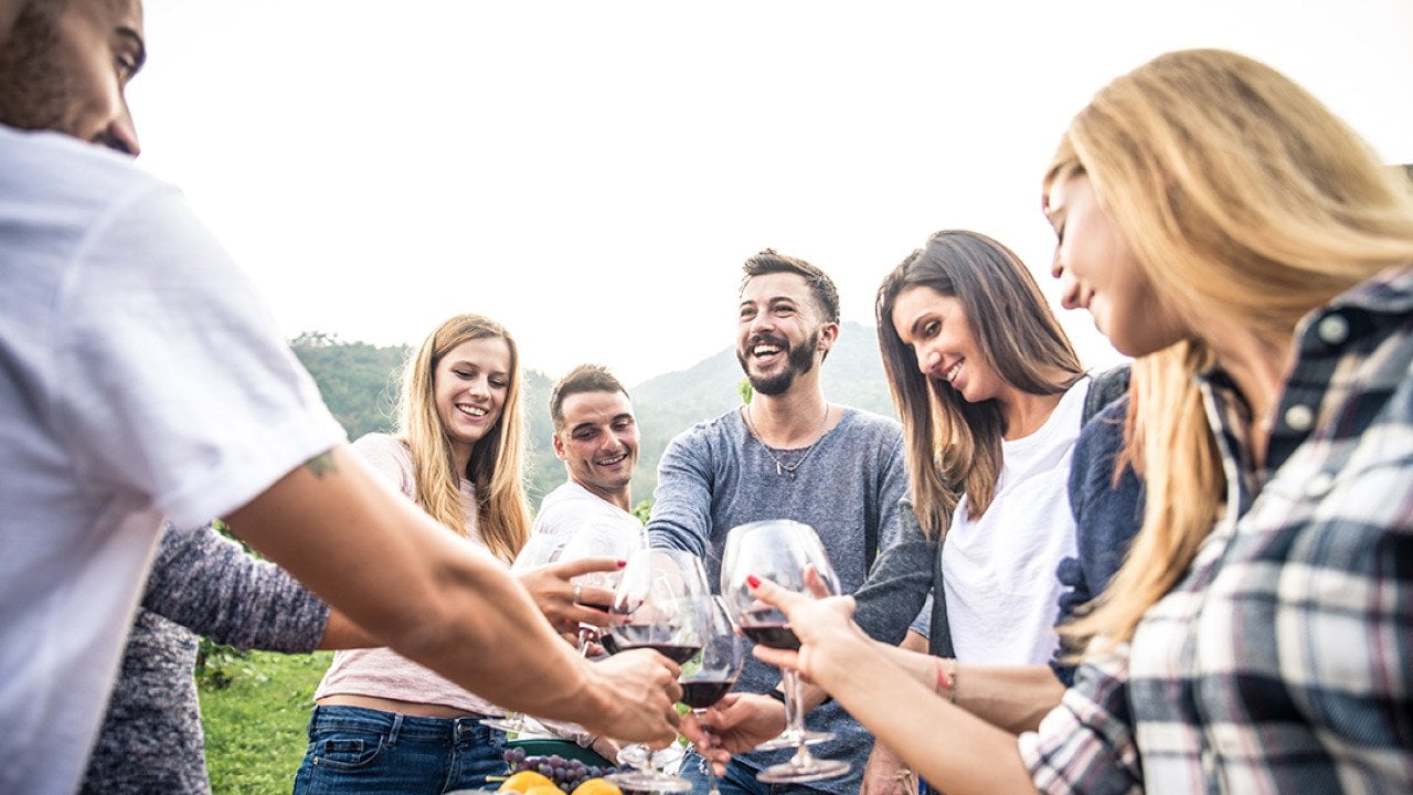 A group of friends making a toast with wine glasses while having a meal outdoors.