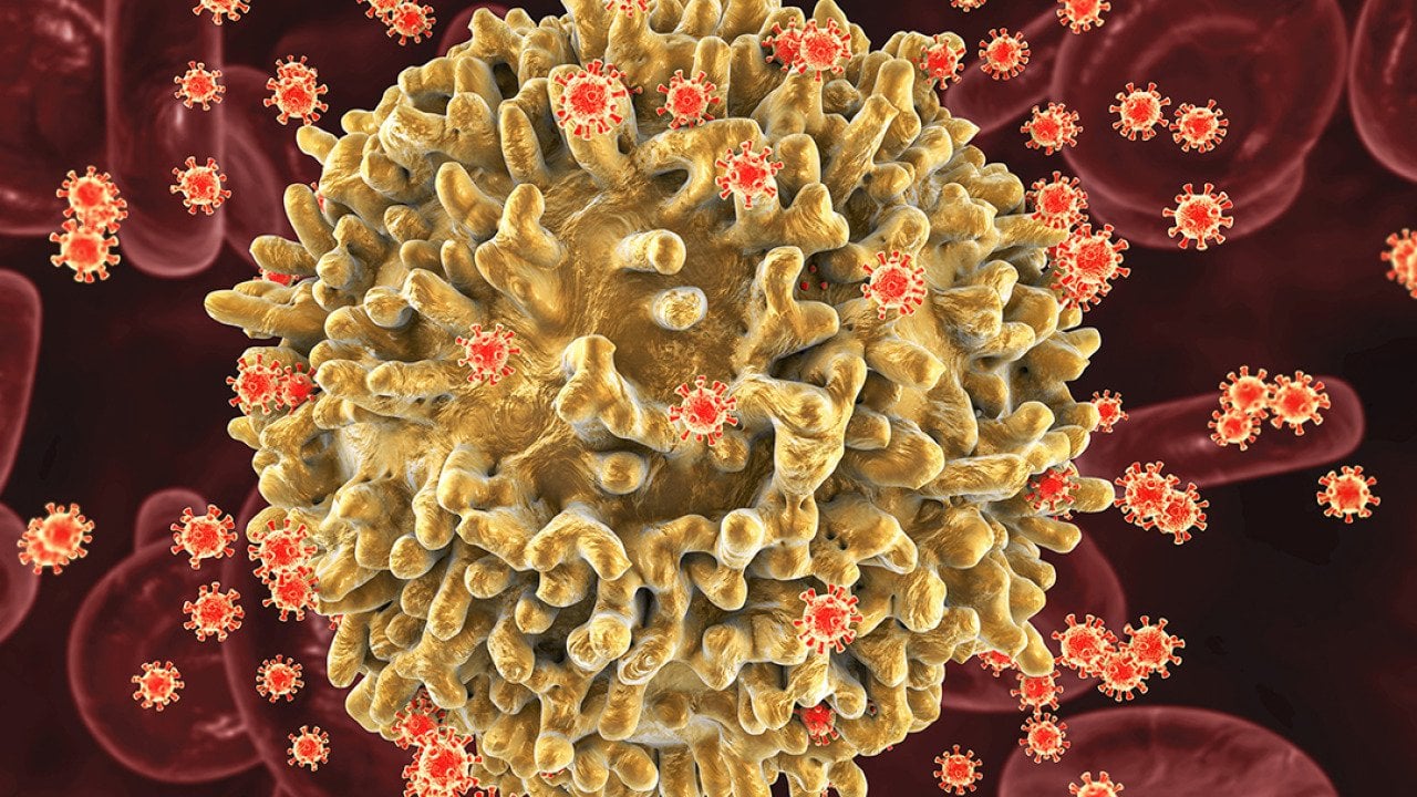 A 3D illustration of HIV infecting the T-lymphocyte cell.