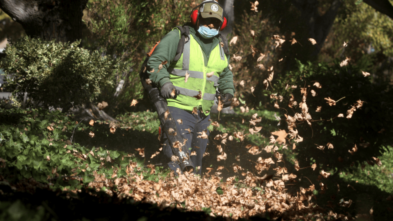 A man uses a gasoline-powered leaf blower to clear leaves and gardening debris.