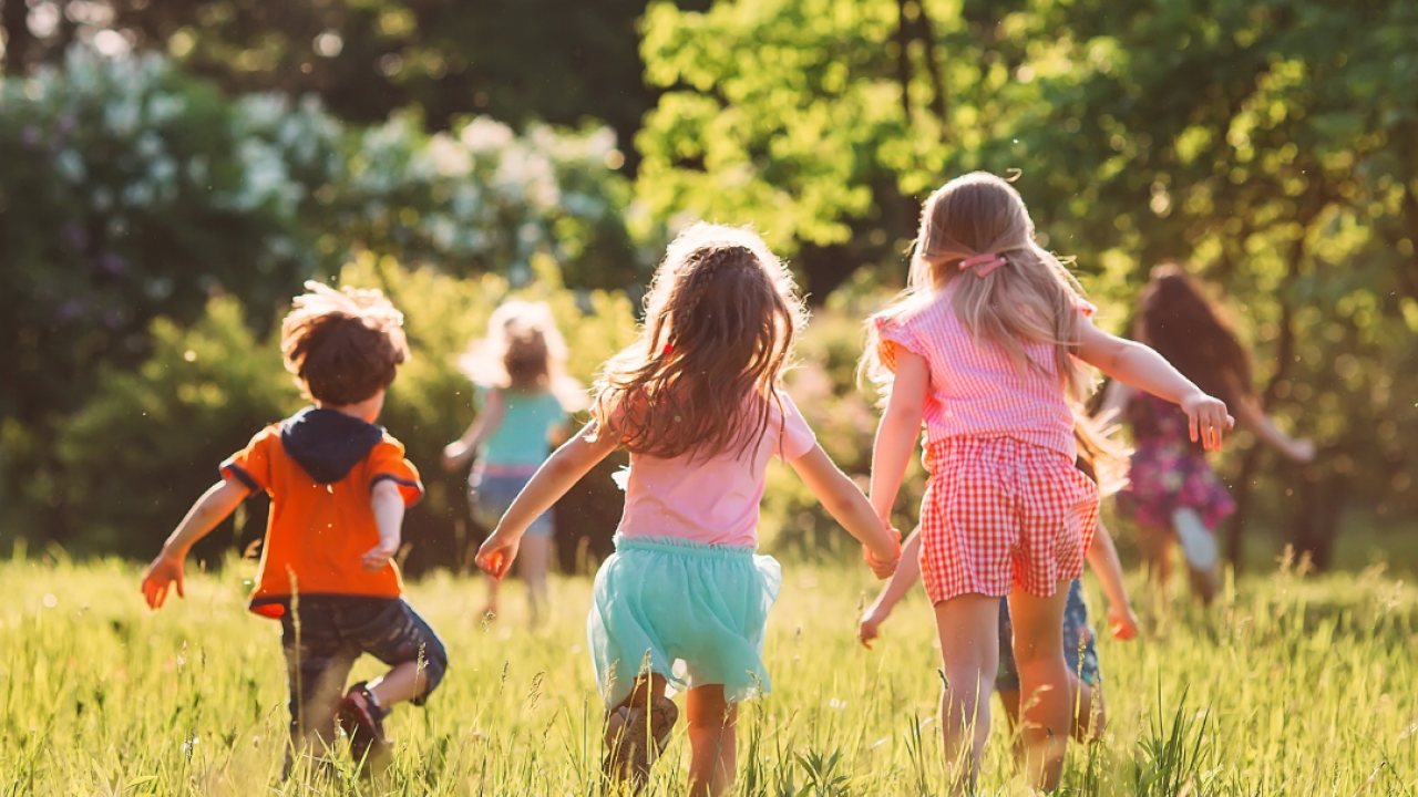 Young children running and playing in a sun-filled meadow with long grass and trees in the distance.